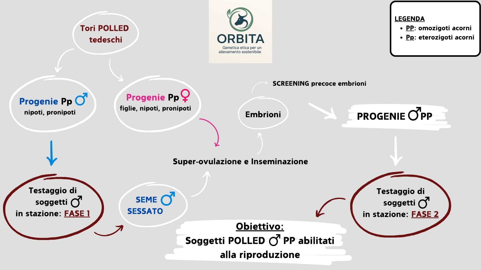 Schema del progetto ORBITA